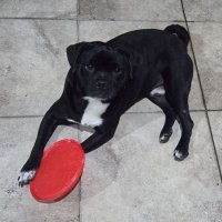 Chavito (@chavitosssss) 's Twitter Profile