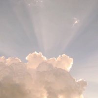 茴 (@_ui_desu) 's Twitter Profile