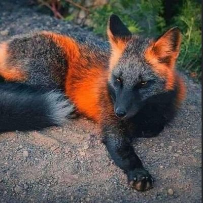 AtainaTheCodess's profile picture. Full Stack developer.