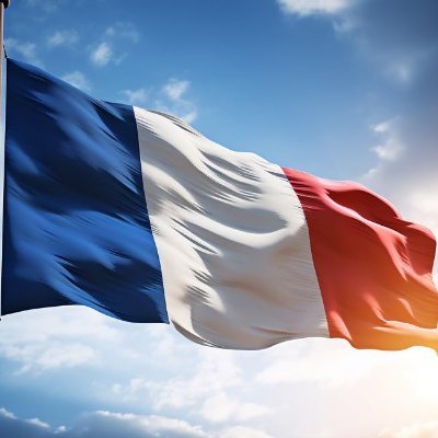 Franco-Français 🟦⬜🟥 Pour la France.
Bloque les islamistes 🔪, islamogauchistes 🍉 et les collabos anti-français 🚫