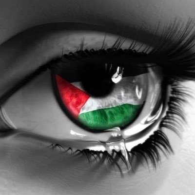 ✧  أحب فلسطين حتى أنقاض مبانيها𓂆 ⍣⃟🇵🇸🔻✧