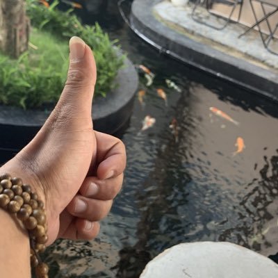 nghihero's profile picture. 