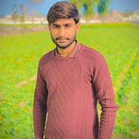 Muhammad Tayyab (@mtayyab078) 's Twitter Profile
