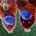 Shawn Daly - @RailBended - Twitter