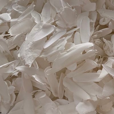 oyu_raruraru's profile picture. 