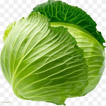 one cabbage, one supply, infinite potential

https://t.co/UmGmNLeuCe