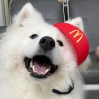 Angel wing (@prancessroka) 's Twitter Profile