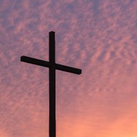 Defender of the Cross (@crossofpraise) 's Twitter Profile Photo Defender of the Cross (@crossofpraise) 's Twitter Profile Photo