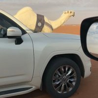 متعب القني (@imk305) 's Twitter Profile