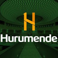 Hurumende(@hurumendezw) 's Twitter Profile Photo