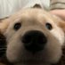 🦈爱吃麦麦🍟 (@shark__0__) Twitter profile photo 🦈爱吃麦麦🍟 (@shark__0__) Twitter profile photo