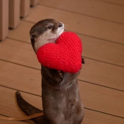 Random tweets from a lovesick otter who's also a sapphic because i miss her so much and i yearn to be with her always!