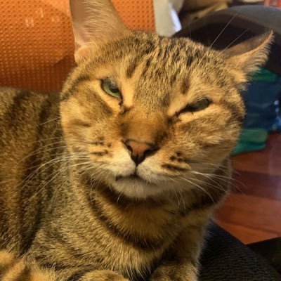 JiRoさんのプロフィール画像