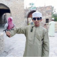 تركي الصقري (@trky268190) Twitter profile photo