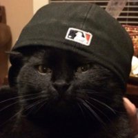 Gato negro 🖤🐈‍⬛(@tvgatonegro) 's Twitter Profile Photo