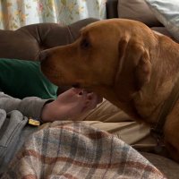 Bargain Mummy (@bargainmummy1) 's Twitter Profile