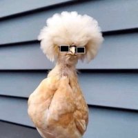 Chihuku chechibhoyi😂🍑 (@thickiana2001) 's Twitter Profile Photo Chihuku chechibhoyi😂🍑 (@thickiana2001) 's Twitter Profile Photo
