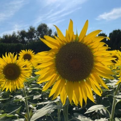 y752100067673's profile picture. RakutenGroupJP〈楽天グループ〉