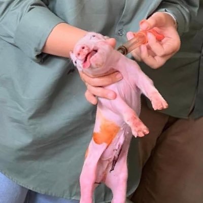 deffdani's profile picture. 