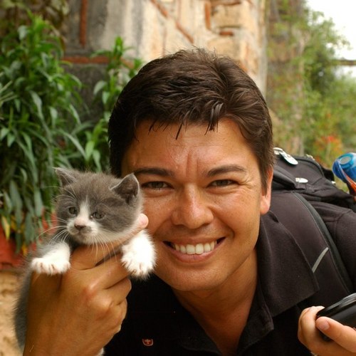 aneilca's profile picture. 