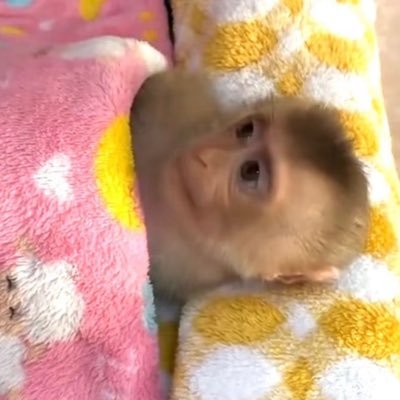 MeeelAg94's profile picture. 