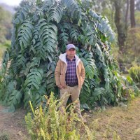 Sachin Acharya🇳🇵✨️ (@sachinacharya) 's Twitter Profile