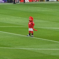 Red of Manchester (@redofmanc) 's Twitter Profile