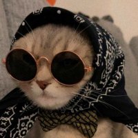 دليّـل' (@d_11il) 's Twitter Profile Photo