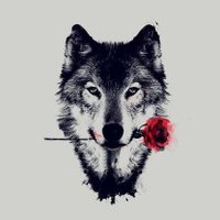 Lone Wolf(@Sigma_Sapient) 's Twitter Profile Photo