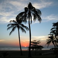 LCS Travel Services (@lcstravel) 's Twitter Profile