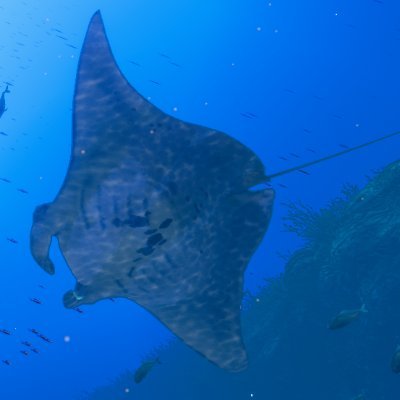 cit_IM_unagi's profile picture. cit　知能メディア工学科　3年