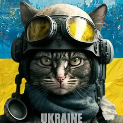 UkraineUaCa Profile Picture