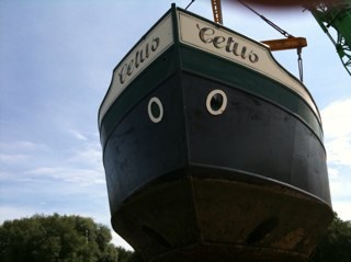 cetus70's profile picture. 