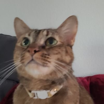 Jayさんのプロフィール画像