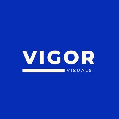 vigor_visuals Profile Picture