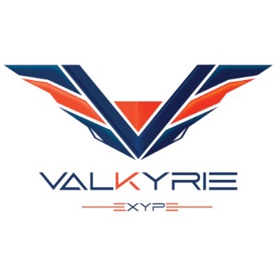 esport_valkyrie Profile Picture