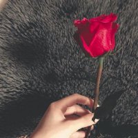 بنت السعودية العظمى 🇸🇦 (@fhedh411) Twitter profile photo