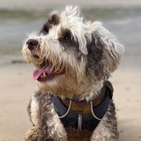 BeMoreBob (@bemorebob2) 's Twitter Profile