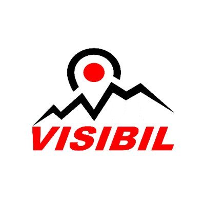 VISIBILCO's profile picture. Making #SMB & #nonprofits visible online using effective and affordable #SEO, #reputationmanagement, #mobile & #video strategies. We get #results!