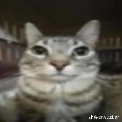 mr_sad1255's profile picture. 