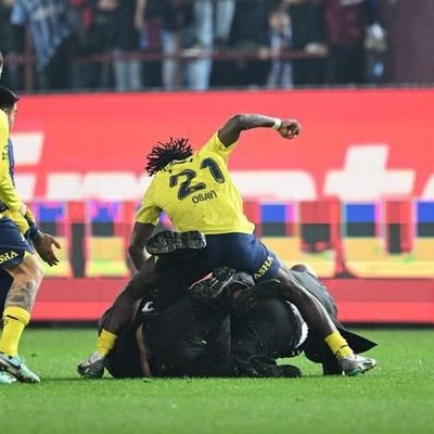 FENERBAHÇE ÖRGÜT ÜYESİ