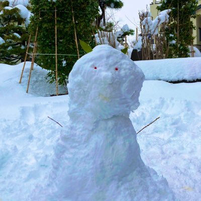 S78862467's profile picture. 大人が笑えば子供も笑う。 本業はデザイナーやってます。