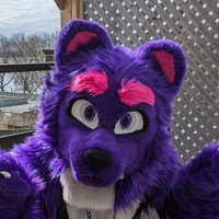 Kyro Fox / Kallix the Jungle Cat(@kyronightfox) 's Twitter Profileg