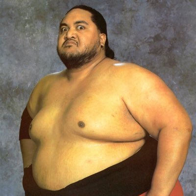 YOKOZUNA FAN PAGE (36) Male He/Him WWE UFC AND NFL FAN.     Account Created March 2 2024