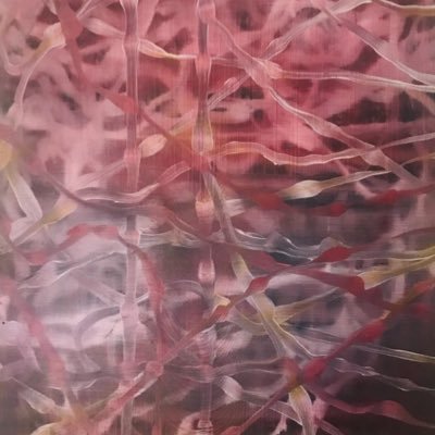 sachajulian28's profile picture. 