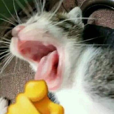 Francis22132070's profile picture. 