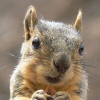 @spip@mamot.fr 🦣 (@spip) 's Twitter Profile