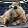 Capivaranab3's profile picture. Sou o Roberto, CFO do Fundo Capivara Family/Previdenciário e Giro Loko. Não sou Analista de Valores Mobiliários. Busque profissional qualificado!