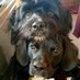 Mary Gater (@m4rygater) Twitter profile photo Mary Gater (@m4rygater) Twitter profile photo