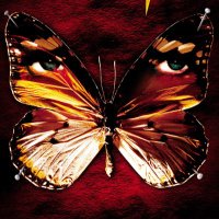 cornelis.P (@colletor2023) 's Twitter Profile